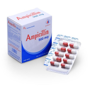 Ampicillin 500 mg - hộp