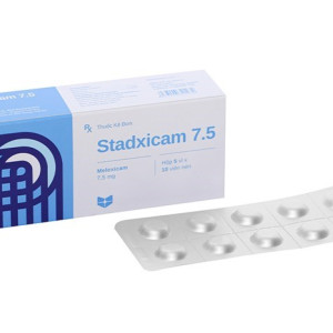 Stadicam 15 - Hộp