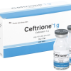 Ceftriaxon - Lọ