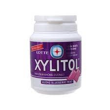 Xylitol Bottle 58G