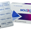 Moloxcin 400 - Viên